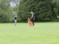 Bendix und das Boxband (52)